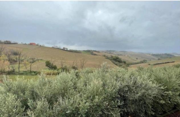 Immobile in asta di 43317 m² in vendita a Terre Roveresche - Foto 4