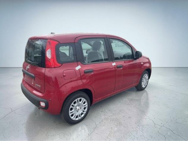 FIAT Pandina 1.0 FireFly 65cv S&S 6m Hybrid Pop - Foto 10