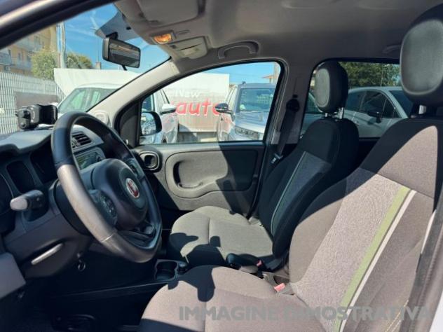 FIAT Panda 1.0 FireFly S&S Hybrid City Cross rif. 24032054 - Foto 9