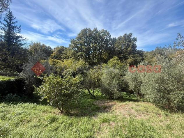 Terreno Residenziale - San Polo dei Cavalieri . Rif.: Cod. rif 3266647VRG - Foto 5