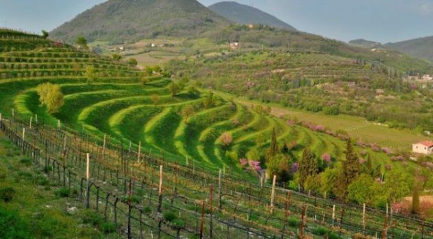 ottimo B &amp; B con maneggio nei monti Berici