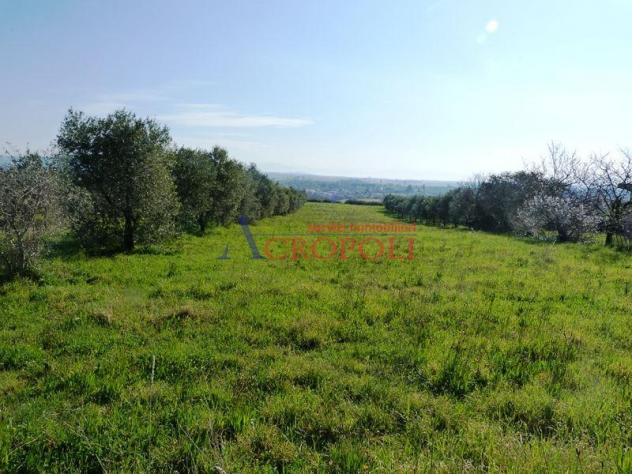 Terreno Edificabile - Rif. 2489 - Foto 8