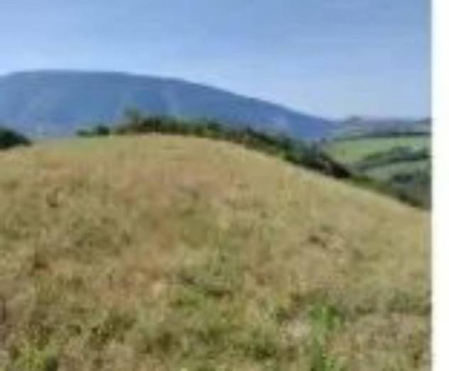 Immobile in asta di 13520 m² in vendita a Assisi - Foto 4