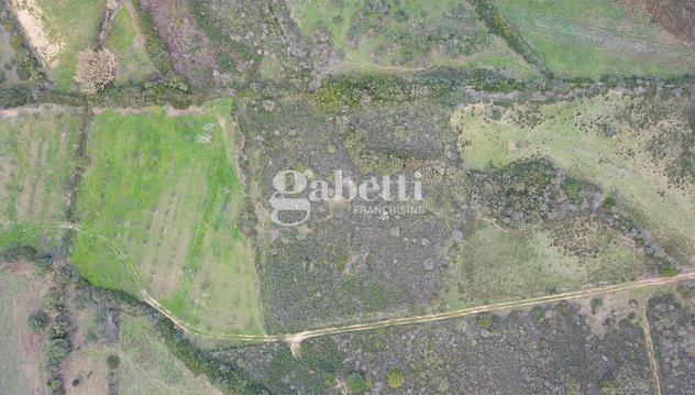 Terreno Agricolo - Budoni . Rif.: Cod. rif 3204979VCG - Foto 6