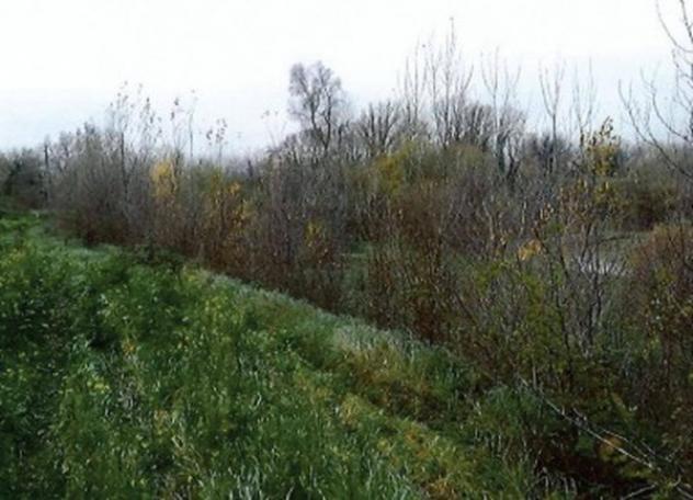 Immobile in asta di 70800 m² in vendita a Orte - Foto 10