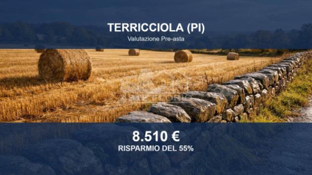Immobile in asta di 4730 m² in vendita a Terricciola