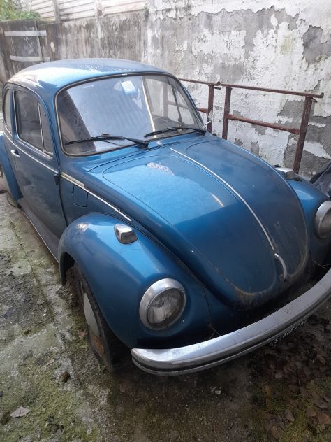 Volkswagen maggiori del 1973