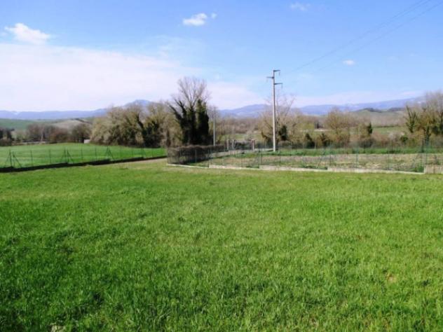 Immobile in asta di 2116 m² in vendita a Proceno - Foto 2