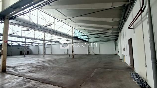 CAPANNONE di 3 vani e di 3025 mq (PEDEROBBA) rif. BL012 - Foto 2