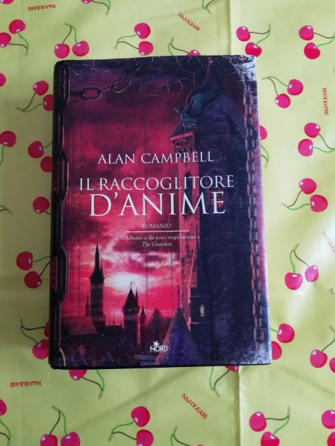 il raccoglitore d'anime
