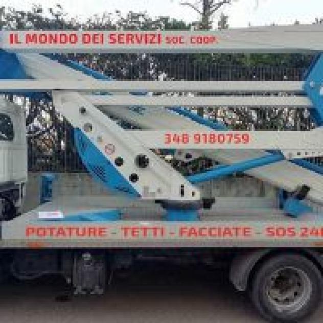 Il Mondo dei Servizi di Martin Stock Coop Soc - Foto 2
