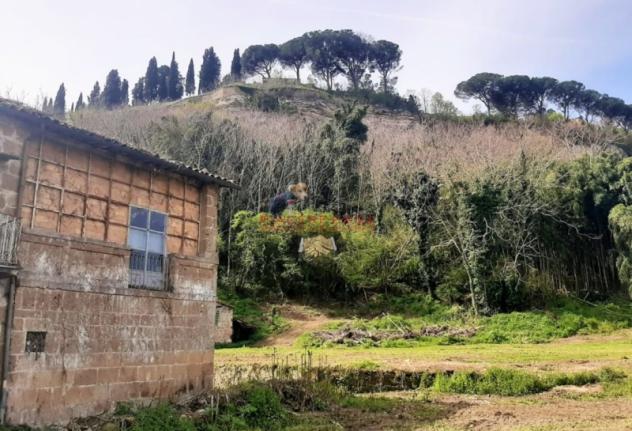 Orvieto - Vendesi Casale da ristrutturare con 1,5 ha di terreno nelle immediate vicinanze di Orvieto - Foto 7