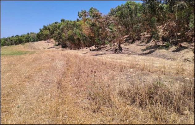 Immobile in asta di 35400 m² in vendita a Crotone - Foto 5