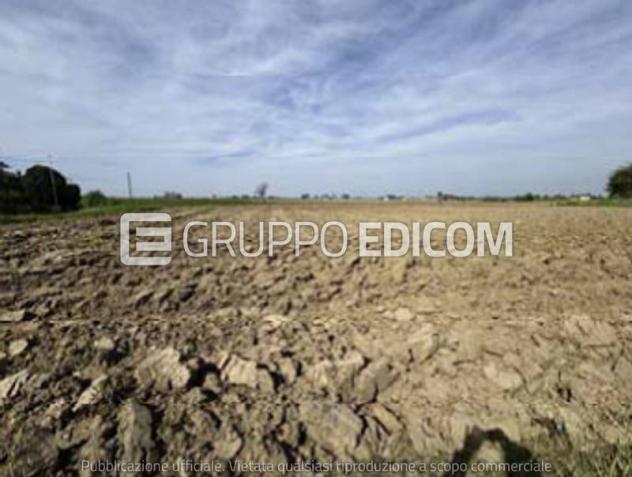 Terreno di 5923 mq in vendita a Nogara - Rif. 4555083 - Foto 2