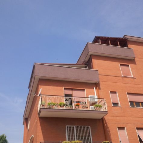 Palmarola - appartamento via della Palmarola