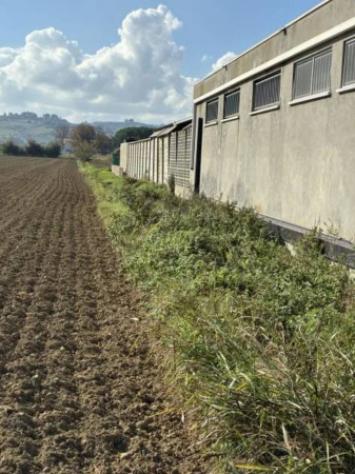 Immobile in asta di 27556 m² in vendita a Cesena - Foto 7