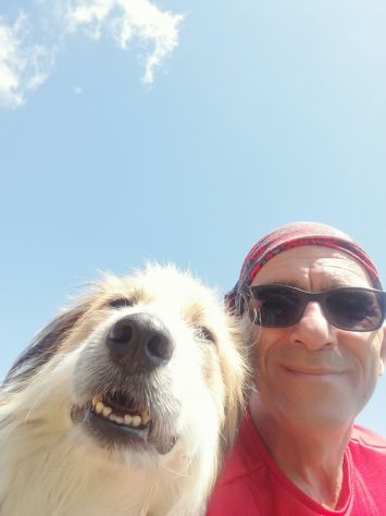 Dog sitter per ginnastica funzionale del cane