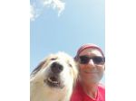 Dog sitter per ginnastica funzionale del cane