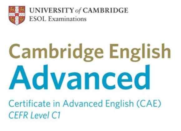Lezioni private/ ripetizioni di inglese