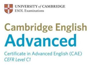 Lezioni private/ ripetizioni di inglese