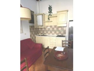 Appartamento in affitto a Santa Croce sull'Arno 37 mq  Rif: 1412443