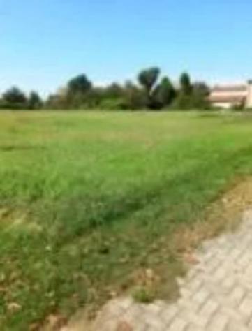 Immobile in asta di 7400 m² in vendita a Finale Emilia - Foto 3