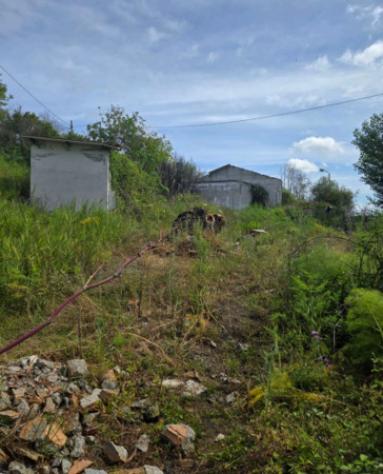 Immobile in asta di 10802 m² in vendita a Mileto - Foto 4