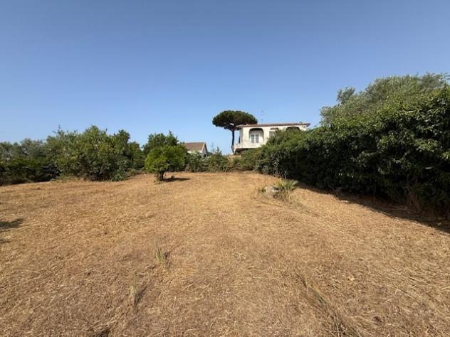 Terreno edificabile in vendita a Nettuno - Foto 5
