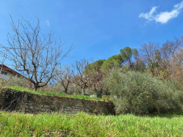 Immobile in asta di 1010 m² in vendita a Perugia - Foto 5