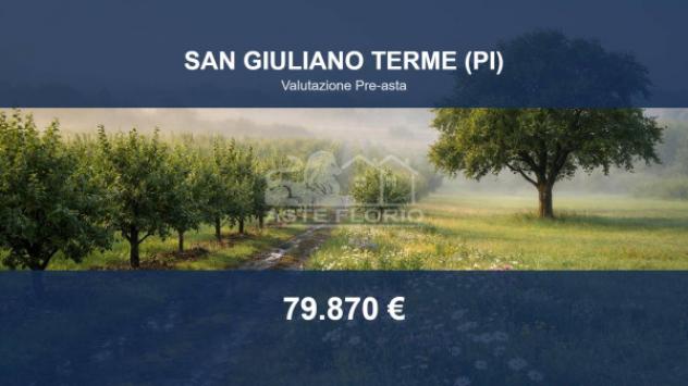 Immobile in asta di 31370 m² in vendita a San Giuliano Terme