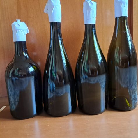 100 Bottiglie bianche o scure - Foto 3