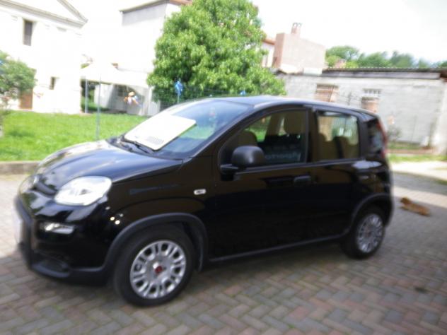 Fiat Panda 1.0 FireFly S&S Hybrid City Life - COME NUOVA KM 1.300 - Foto 5