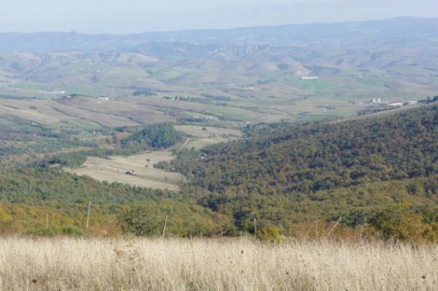 Immobile in asta di 1900000 m² in vendita a Piancastagnaio - Foto 10