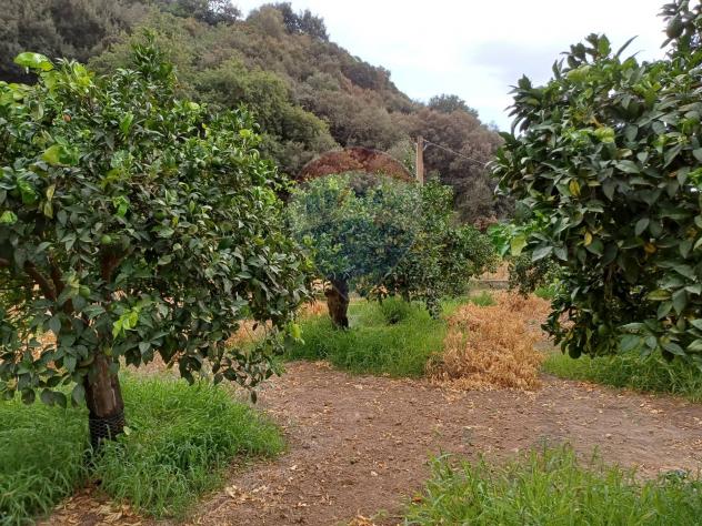 Terreno in vendita a Chiaramonte Gulfi - Foto 12