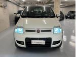 FIAT Panda 1.3 MJT 16V DPF 4x4  rif. 24010836