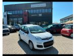 FIAT Pandina NUOVA PANDA Panda 1.0 70cv Hybrid Pop
