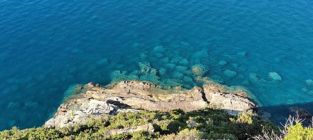Casale in vendita a Campiglia - La Spezia 64 mq Rif: 1213758 - Foto 6