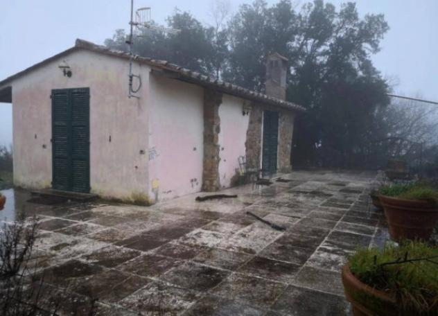 Immobile in asta di 614733 m² in vendita a Murlo - Foto 4