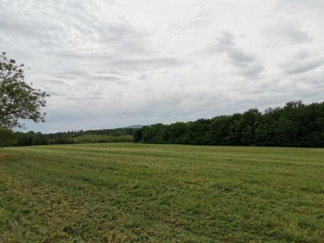 Terreno agricolo in vendita a Poggibonsi 3500 mq Rif: 1290553 - Foto 4