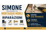 Montatore mobili e falegname esperto