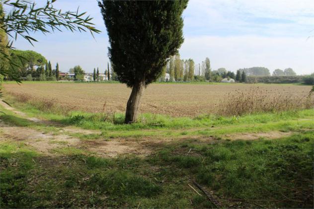Colonica in vendita a Santa Maria a Monte 1000 mq Rif: 804937 - Foto 7