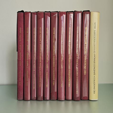 Netter, 7 Volumi - Collezione Ciba Geigy - Frank Netter - 1985 - TRACCIATA! - Foto 10