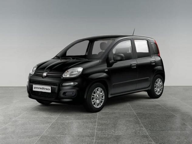 FIAT Pandina Pandina 1.0 firefly hybrid Icon s&s 65cv 5p.ti.