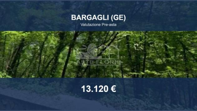 Immobile in asta di 34427 m² in vendita a Bargagli