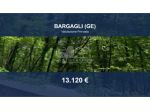 Immobile in asta di 34427 m² in vendita a Bargagli