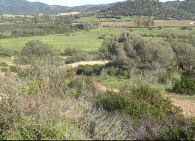 Immobile in asta di 2270 m² in vendita a Olbia - Foto 3