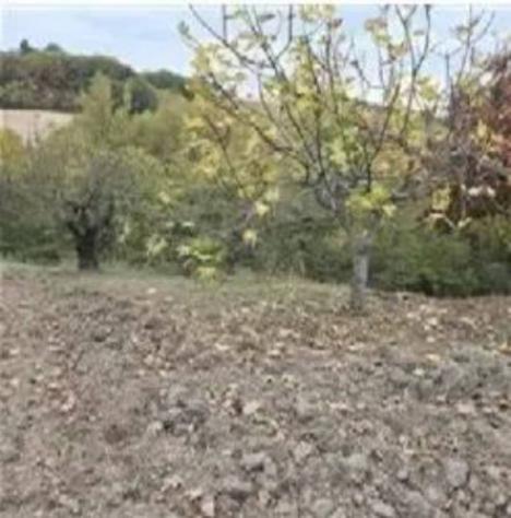 Immobile in asta di 9470 m² in vendita a San Severino Marche - Foto 5