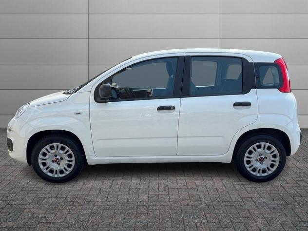 FIAT Panda 1.2 69cv S&S Easy - Foto 2