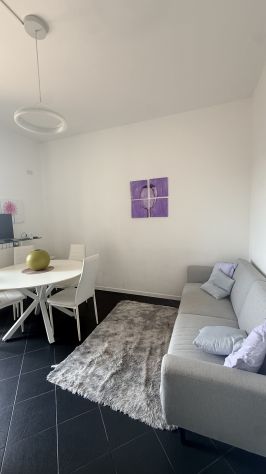 San Siro bilocale aria condizionata nuovo balcone 1050eu - Foto 3