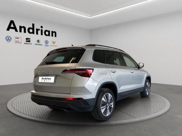 Škoda Karoq Karoq 2.0 TDI EVO SCR 115 CV DSG Ambition - Foto 3
